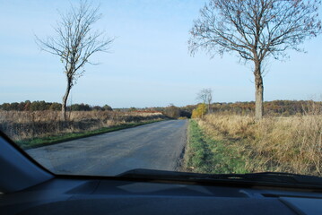 autumn road and trees © TK_Office