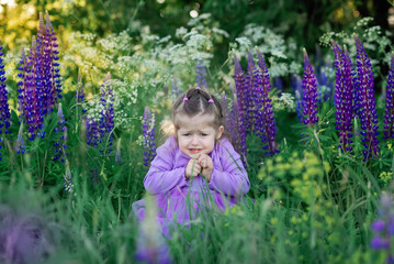 little girl in violet dress is standing  in the field of violet lupins, upset