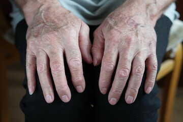 hands of the groom and bride