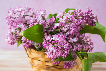 Branches of pink and white lilacs in a wicker basket on a pink concrete background. Lilac blossom. Greeting cards with a composition for the holiday, covers for notebooks