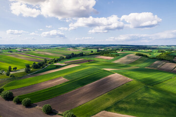 Colorful Lush Crop Fields in Rural Counrtyside Landscape. Aerial Drone View. Polish Farmlands