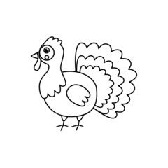 Fototapeta na wymiar Vector illustration of black and white turkey on white background.