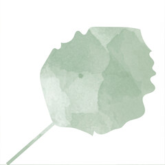 Watercolor leaves of houseplants. Beautiful Texture.