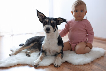 Adorable baby and cute dog on faux fur rug indoors