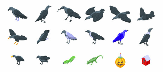 Raven icons set isometric vector. Animal bird. Dark feather