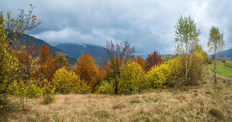 Obraz premium Cloudy and foggy day autumn mountains scene. Peaceful picturesque traveling, seasonal, nature and countryside beauty concept scene. Carpathian Mountains, Ukraine.