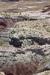 Pertrified Forest National Park in Arizona