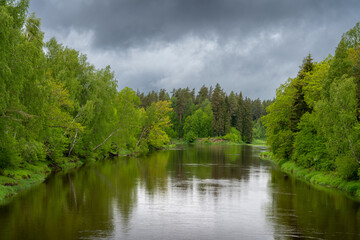 Fototapeta na wymiar River Gauja in Latvia