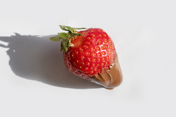 Fresh strawberries in chocolate on a light background