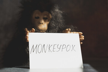 Monkeypox virus concept. Monkey toy holding sign with word MONKEYPOX.