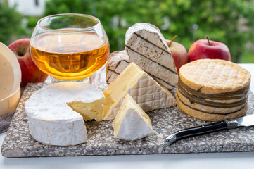 Cow cheeses of Normandy - camembert, livarot, neufchatel, pont l'eveque and glass of apple cider...