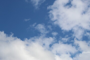 Fototapeta premium Nature à la campagne, animaux, ciel verdure