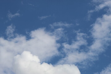 Nature à la campagne, animaux, ciel verdure