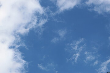 Nature à la campagne, animaux, ciel verdure