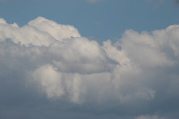 Nature à la campagne, animaux, ciel verdure