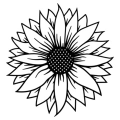 Sunflower outline vector, Summer Floral