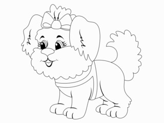 Pet, shih tzu breed. Page outline of cartoon. Vector illustration, coloring book for kids.