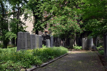 Jüdischer Friedhof in Berlin im Frühling