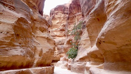 Al Siq, the famous gulche in Petra, Jordan. High quality photo