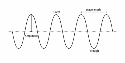Label the parts of a transverse wave. Crest, trough, wavelength and amplitude of the wave. The anatomy of a wave vector illustration isolated on white background - obrazy, fototapety, plakaty