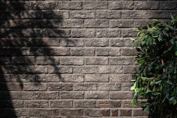 Photo a brick wall with a shadow from a plant