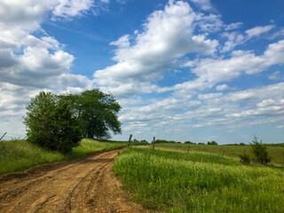 Fototapeta na wymiar Field Road. A curve in a rural Northern Missouri dirt road leading through a tall green summer uncut hayfield with billowing white puffy clouds serving as a backdrop. Near Winigan, Missouri 05-2022