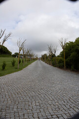 road to the sky