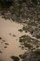 Man walking his dog on the dunes