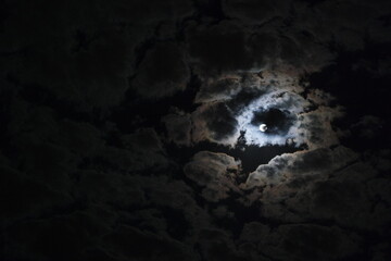 SAMSUNG CAMERA PICTURES