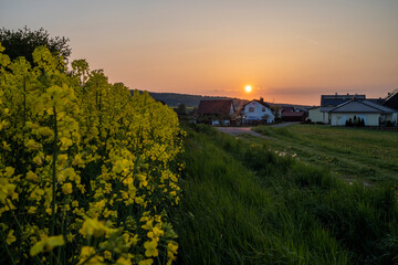 Naklejka premium Abendstimmung in der Rhön zur Rapsblüte