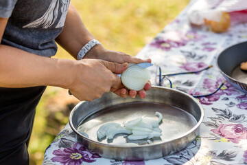 Obraz na płótnie Canvas Woman chopping onions in tray. Chop onions.