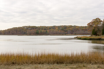 Fototapeta premium Weymouth's Back river in atumn.