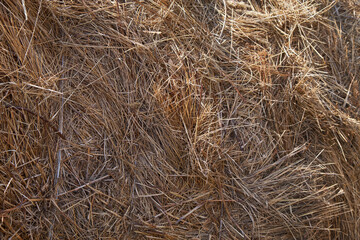 straw bale background