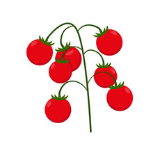 Vector illustration of tomato cherry isolated on white background in flat style