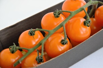 orange cherry tomatoes on a branch on a substrate, minimalism