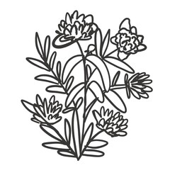 Peony illustration for your design line drawing