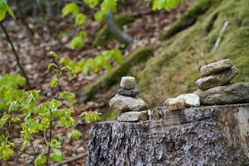 German nature in spring, photographed in the Bavarian Forest