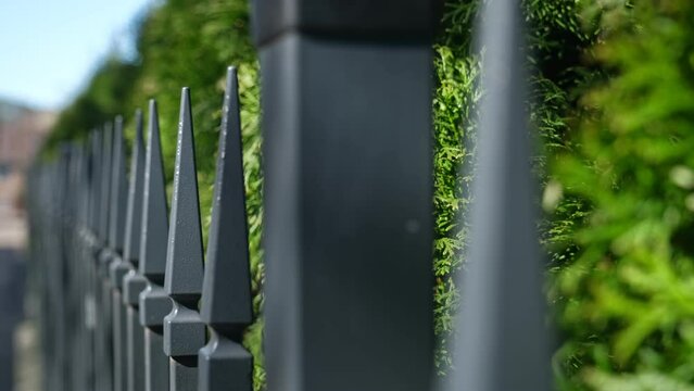 Sharp Picket Style Quad Spear Pointed Metal Fence Around Property Rack Focus