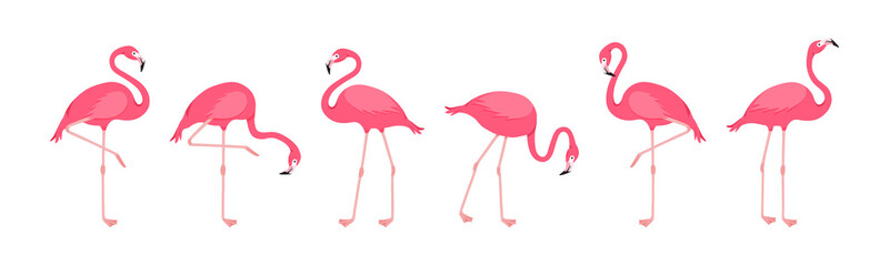 Flamingo vector set, cartoon pink tropical bird, summer animal icon, cute zoo character. Fashion fauna illustration