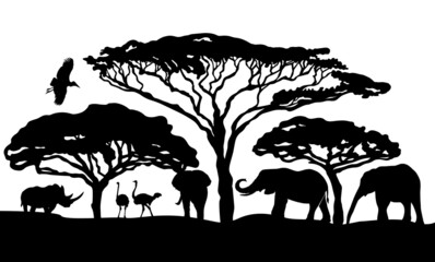 African nature silhouette. Vector illustration