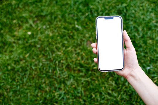 A woman's hand gently holds a smartphone with a blank white screen on a green summer background. Advertising on the smartphone screen. Phone template in hand. Mockup image of a man holding smartphone
