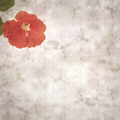 square stylish old textured paper background with Tropaeolum majus, the garden nasturtium