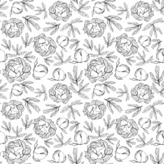 Seamless floral pattern with peonies and leaves in doodle technique on an white background 