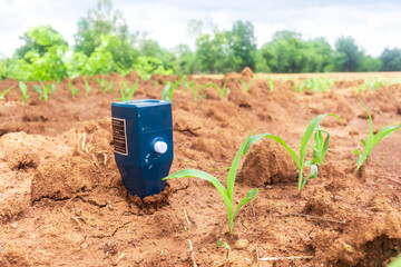 corn field and soil meter measured ph.