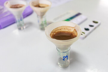 Glassware with soil samples and extracts on light table. Laboratory research