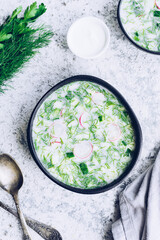 Okroshka. Traditional russian soup with radish
