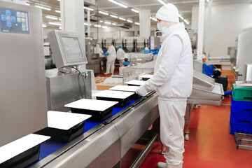 Automated production line in modern food factory.People working.Chicken fillet production...
