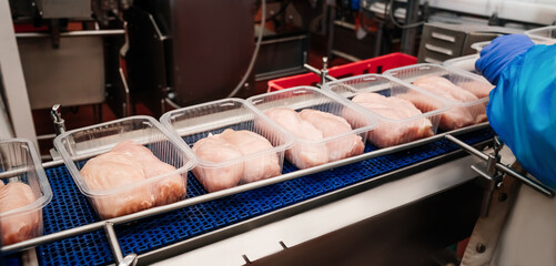 Modern poultry processing plant.Conveyor Belt Food.Automated production line in modern food factory.A modern plant.Factory production food from meat.Production line with packaging and cutting of meat.