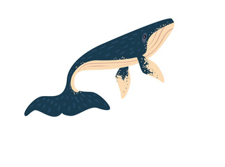 flat blue whale © Jeronimo Ramos