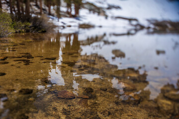 tilt-shift reflection in the water